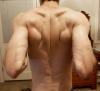 meback.png