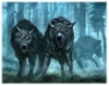 An Important Vote - last post by Direwulff
